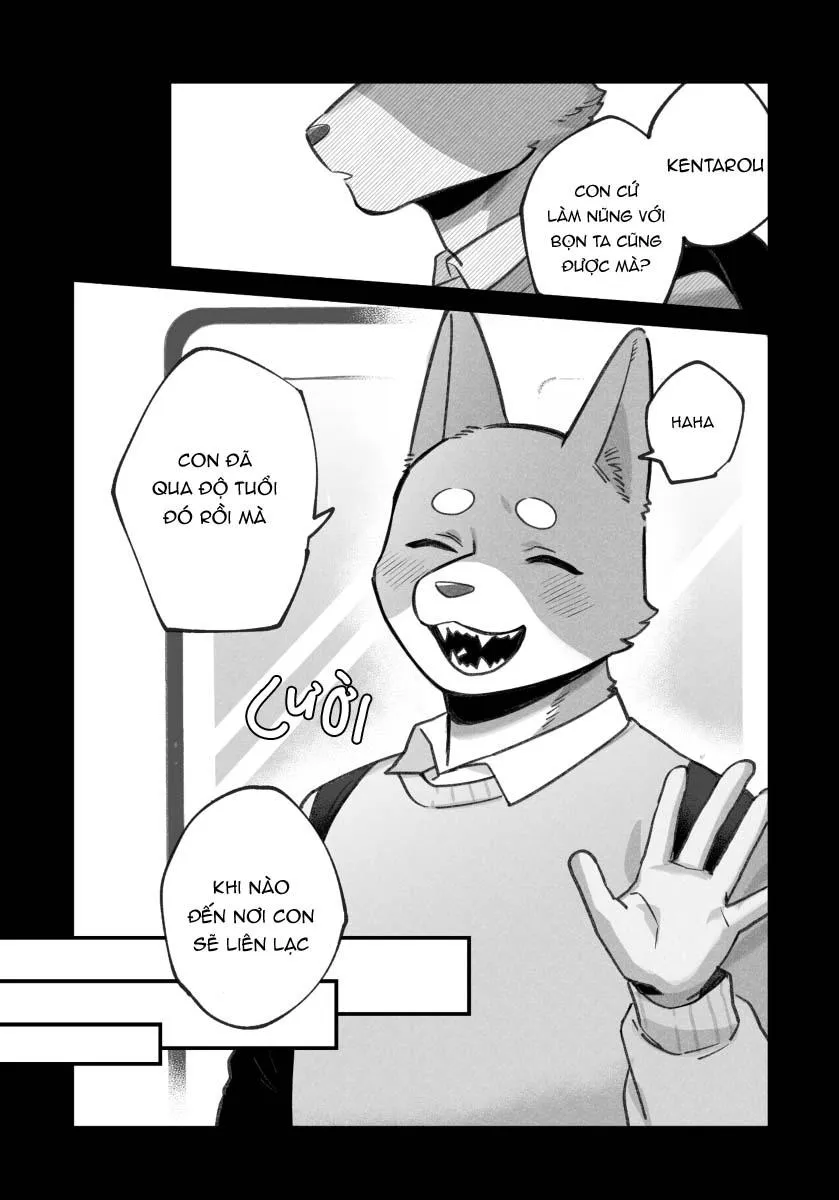 BẠN TRAI CỦA TÔI LÀ CHÓ Chapter 19 Trang 6