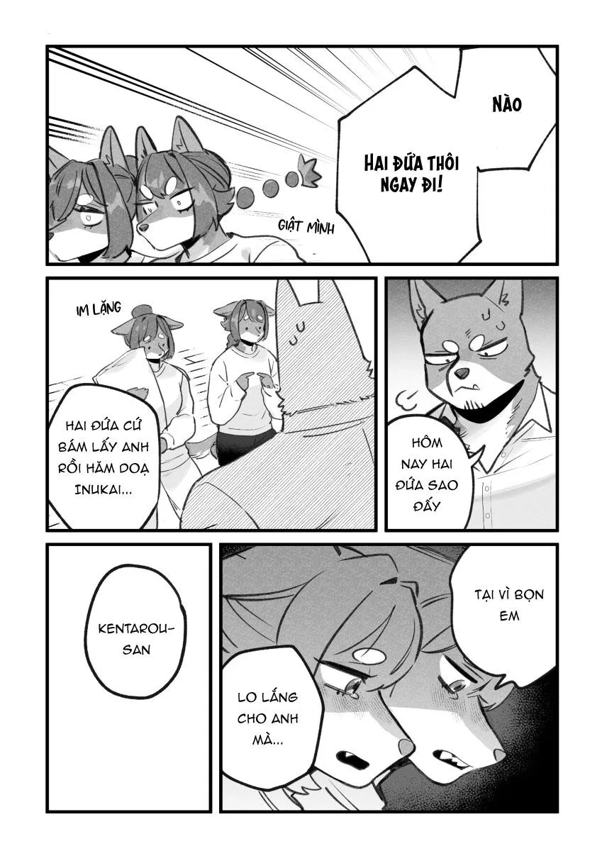 BẠN TRAI CỦA TÔI LÀ CHÓ Chapter 22 Trang 3