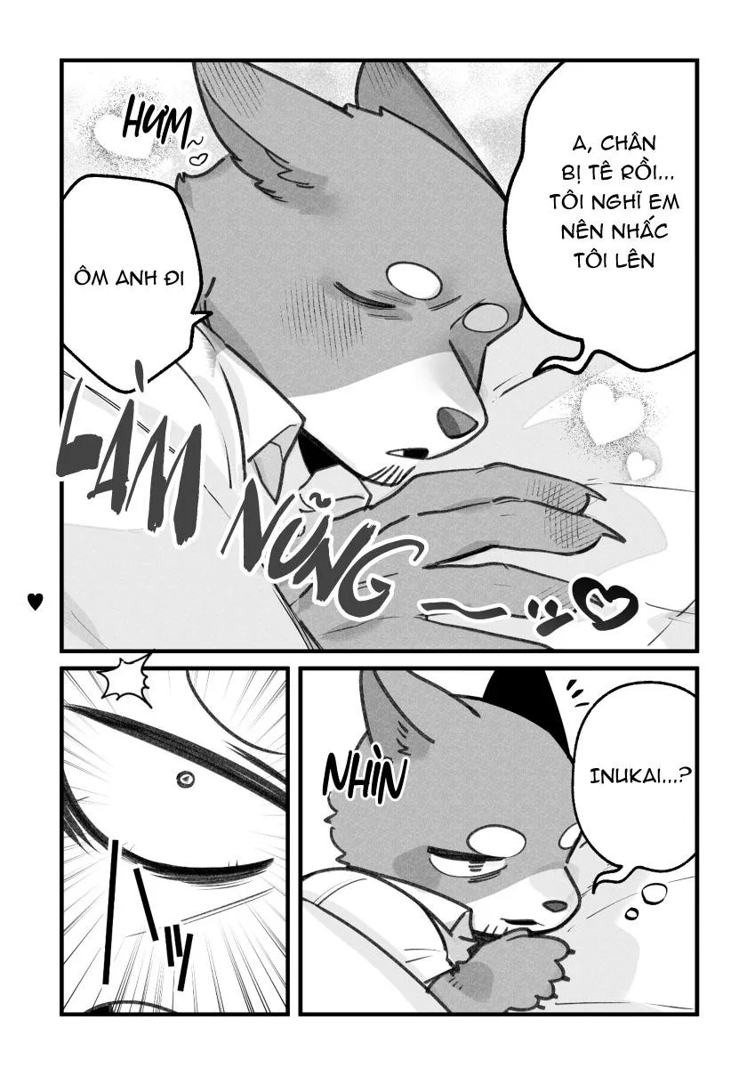 BẠN TRAI CỦA TÔI LÀ CHÓ Chapter 22 Trang 6