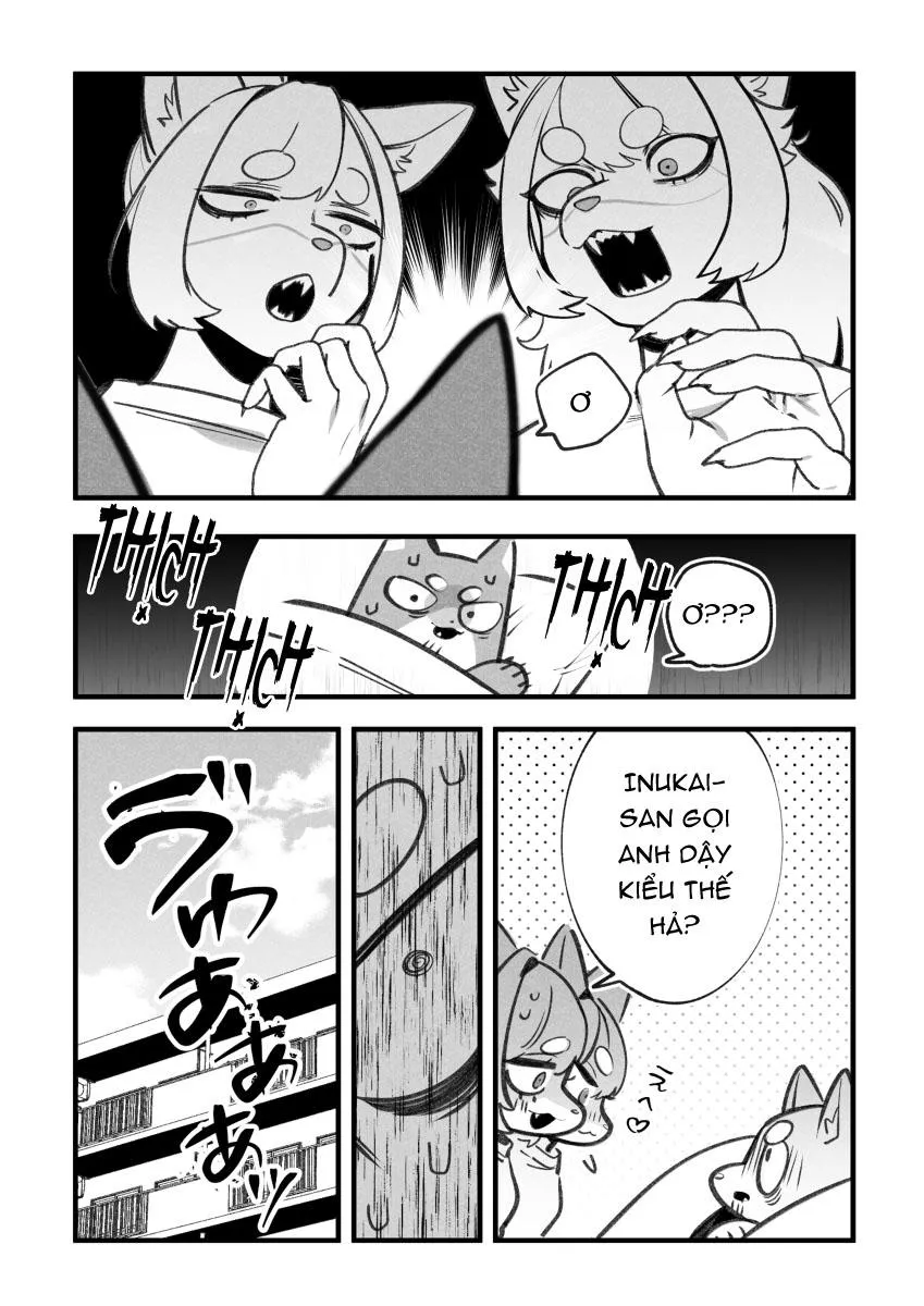 BẠN TRAI CỦA TÔI LÀ CHÓ Chapter 22 Trang 7