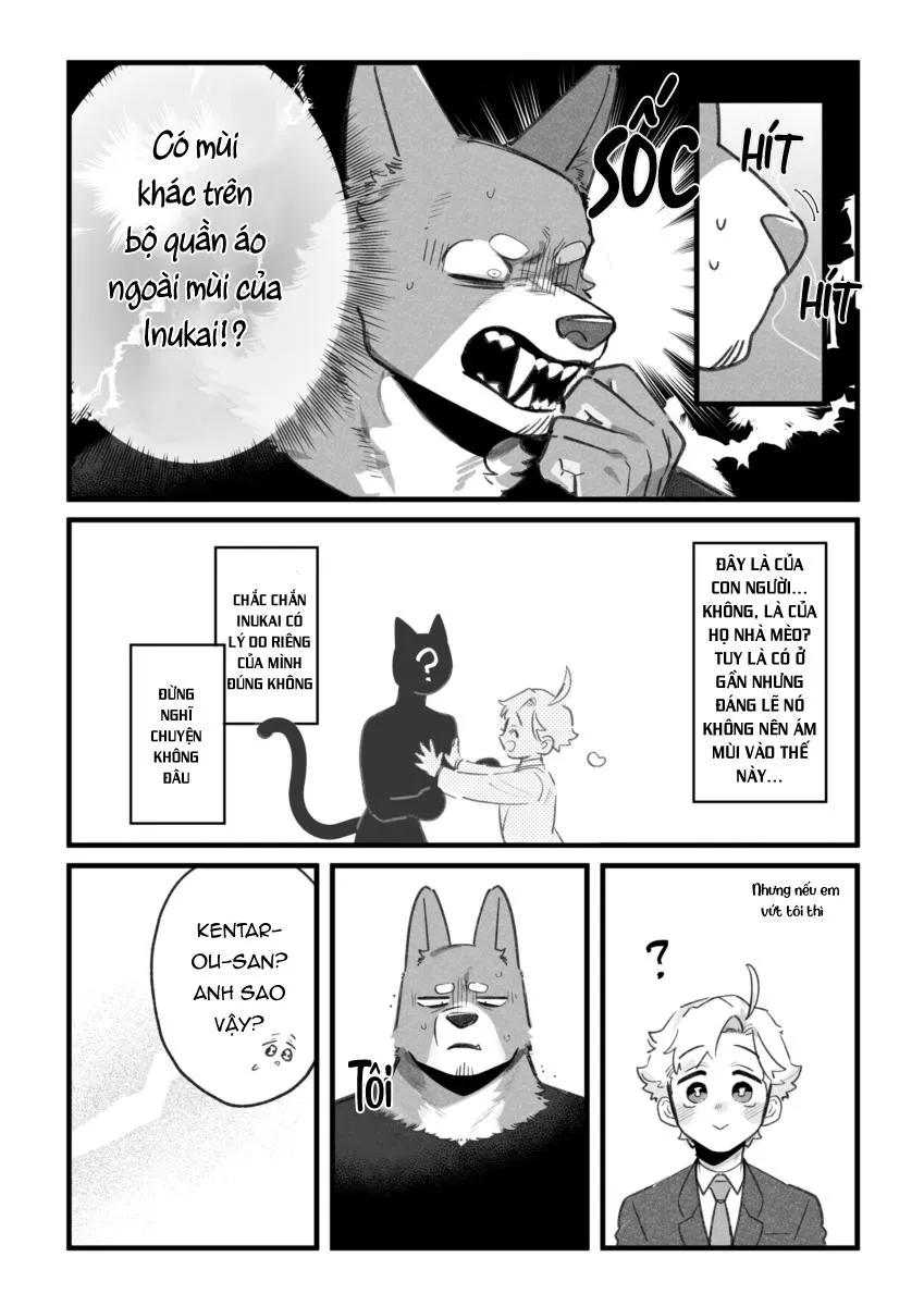 BẠN TRAI CỦA TÔI LÀ CHÓ Chapter 6 Trang 3