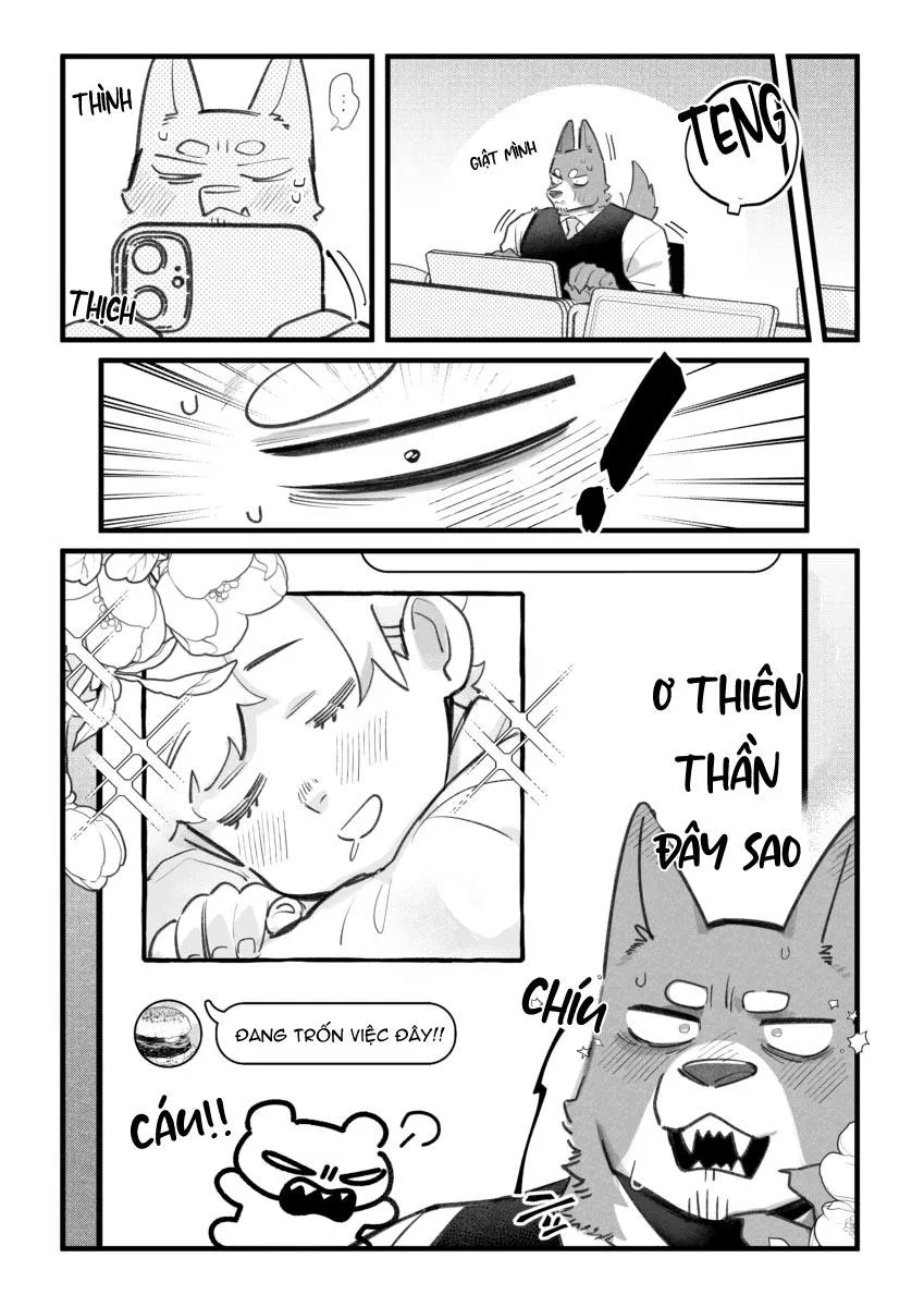 BẠN TRAI CỦA TÔI LÀ CHÓ Chapter 7 Trang 4