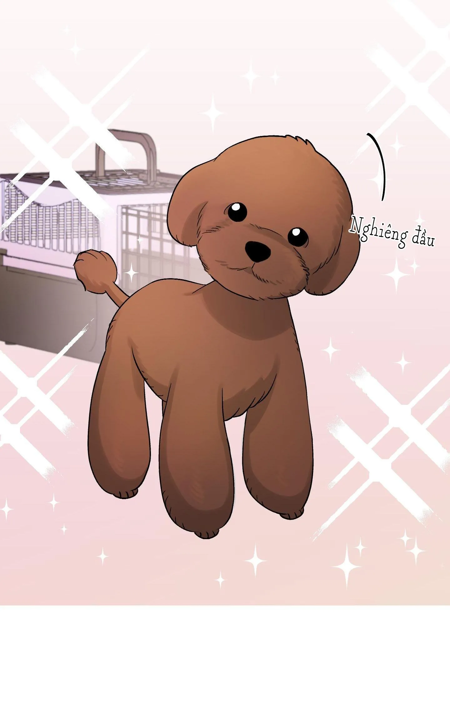 Bạn Trai Cún Con Chapter 3 Trang 44