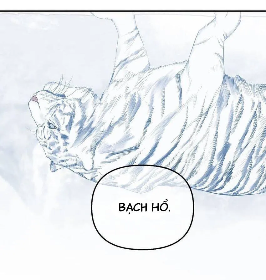 Bạn Trai Mãnh Hổ Của Hắn Chapter 11 Trang 74