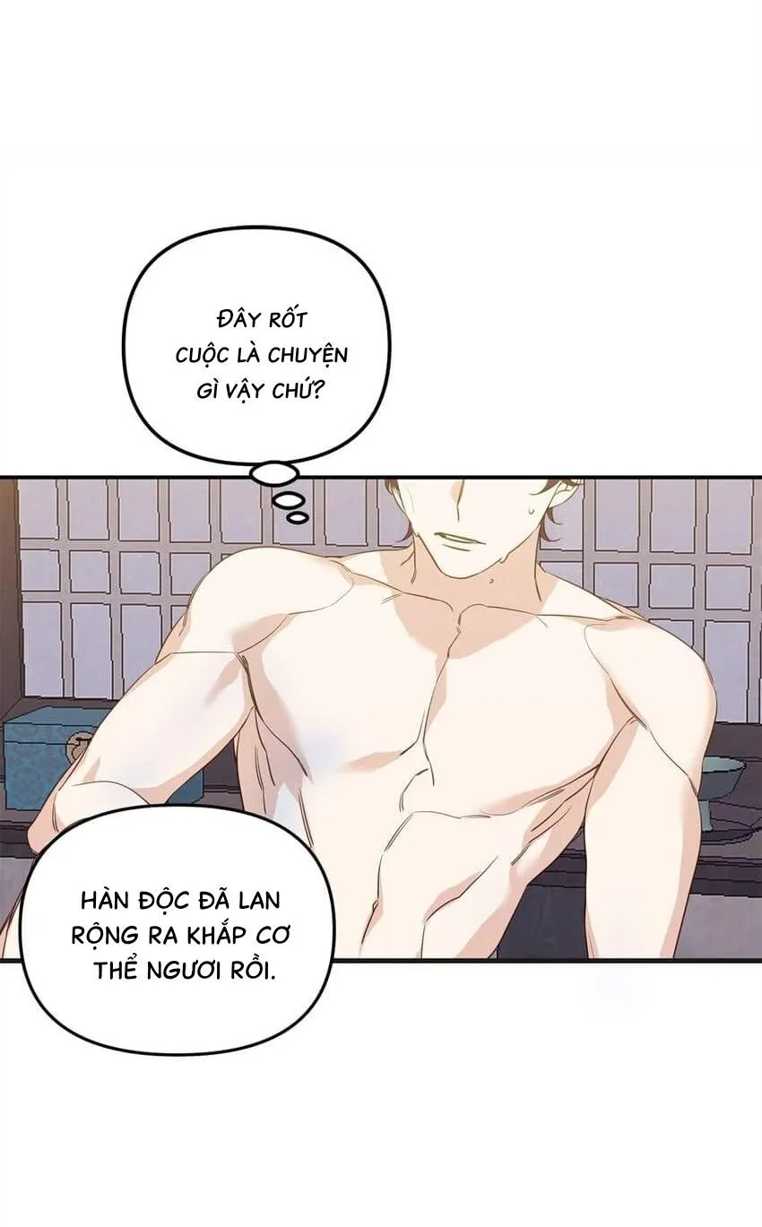 Bạn Trai Mãnh Hổ Của Hắn Chapter 12 Trang 12