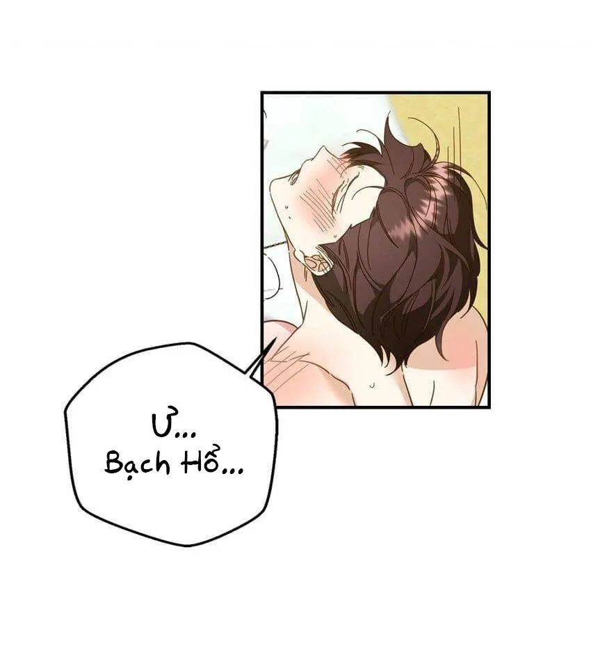 Bạn Trai Mãnh Hổ Của Hắn Chapter 20 Trang 44