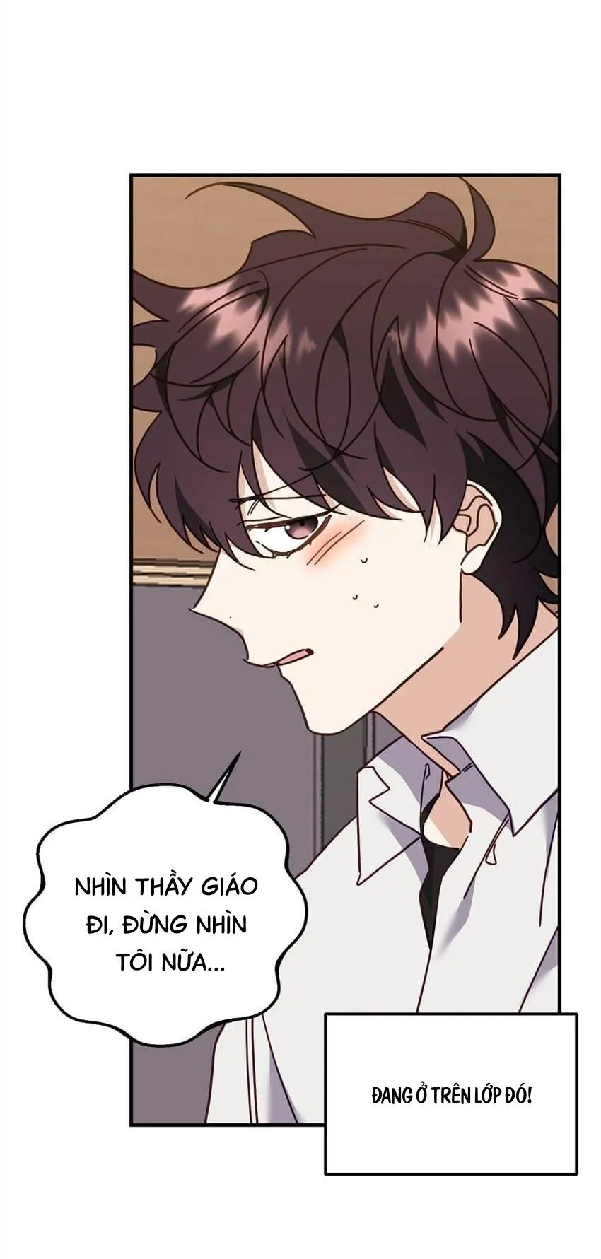 Bạn Trai Mãnh Hổ Của Hắn Chapter 22 Trang 13