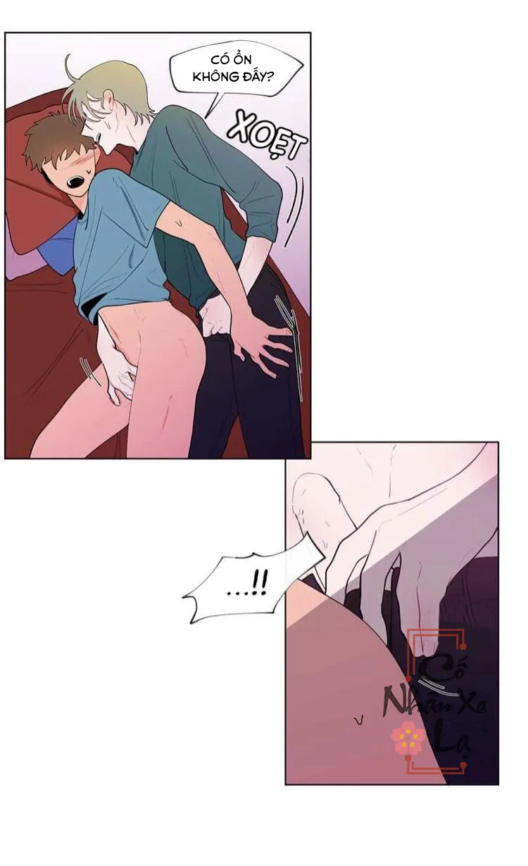 Banana Scandal Chapter 12 Trang 5