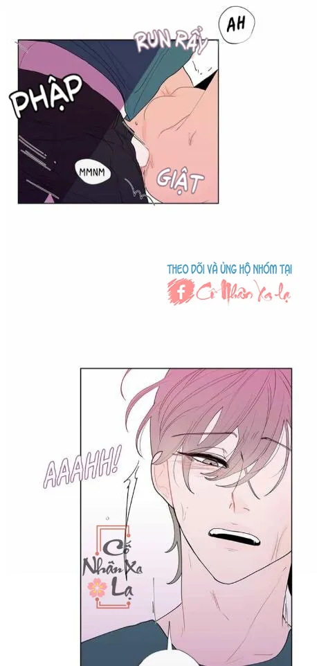 Banana Scandal Chapter 12 Trang 19