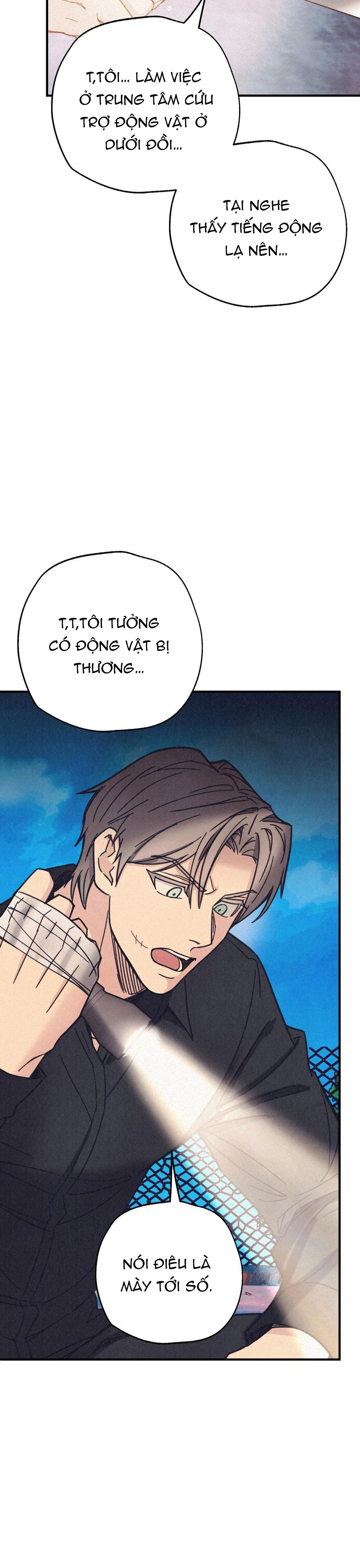 BĂNG ĐẢNG SAMGEORI Chapter 12 Trang 17