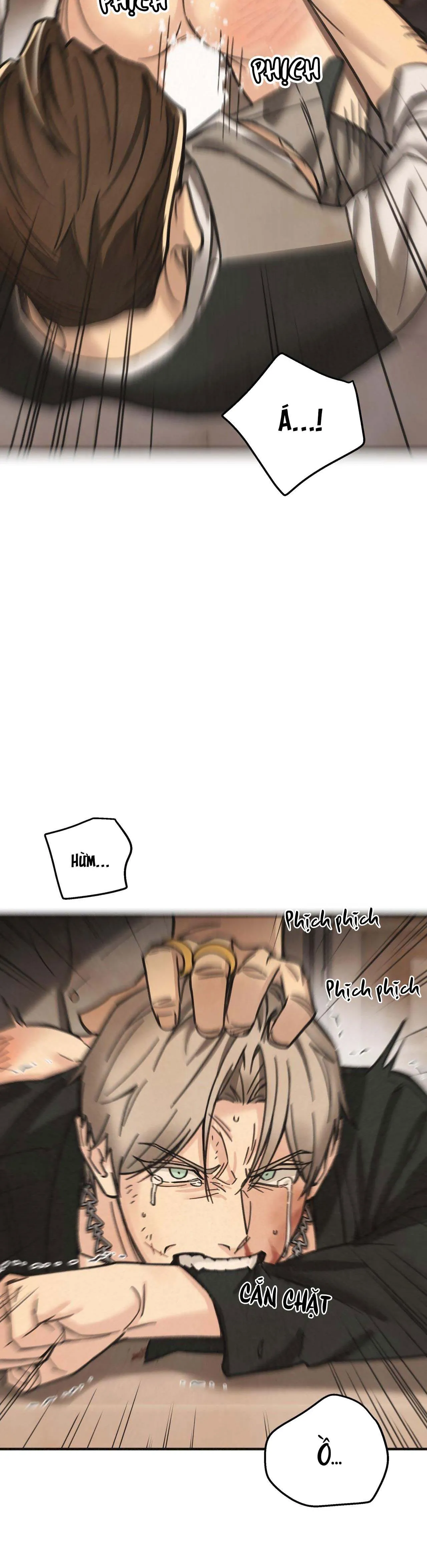 BĂNG ĐẢNG SAMGEORI Chapter 13 Trang 14