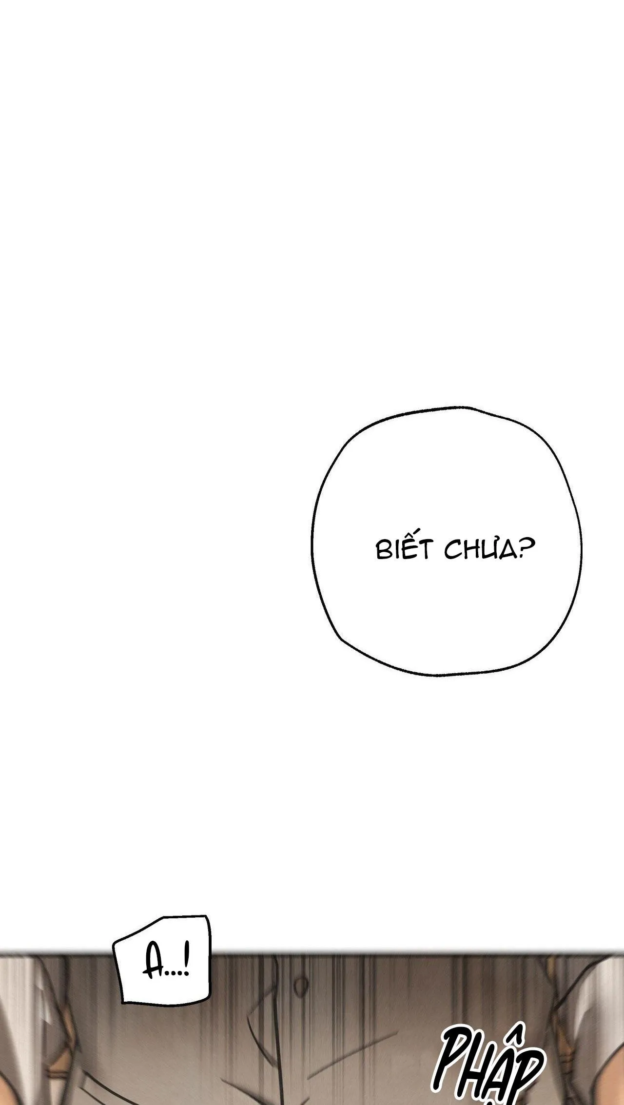 BĂNG ĐẢNG SAMGEORI Chapter 14 Trang 39