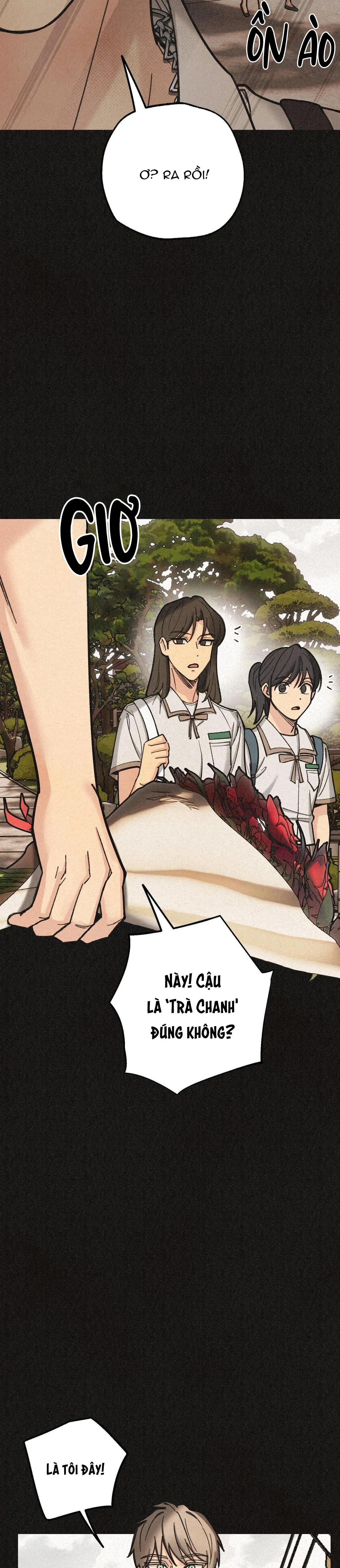 BĂNG ĐẢNG SAMGEORI Chapter 19 Trang 4