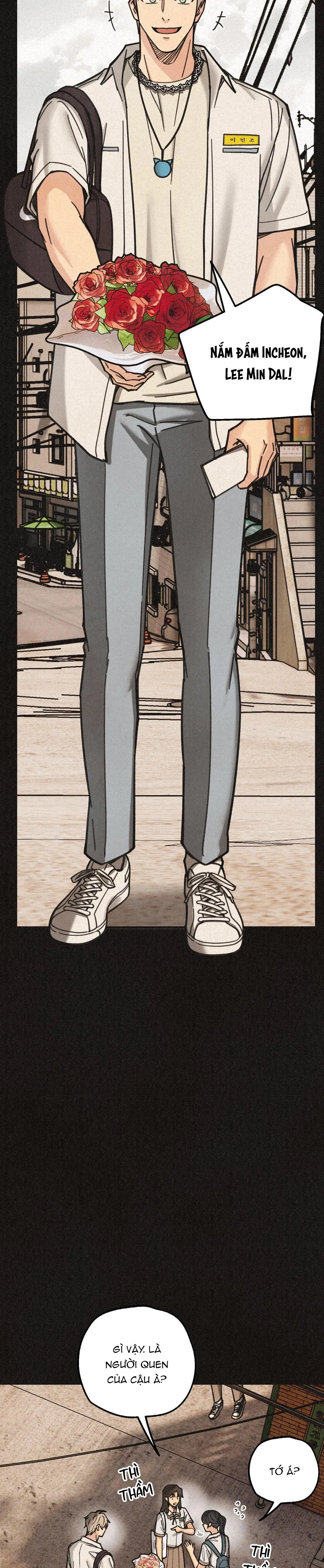 BĂNG ĐẢNG SAMGEORI Chapter 19 Trang 5