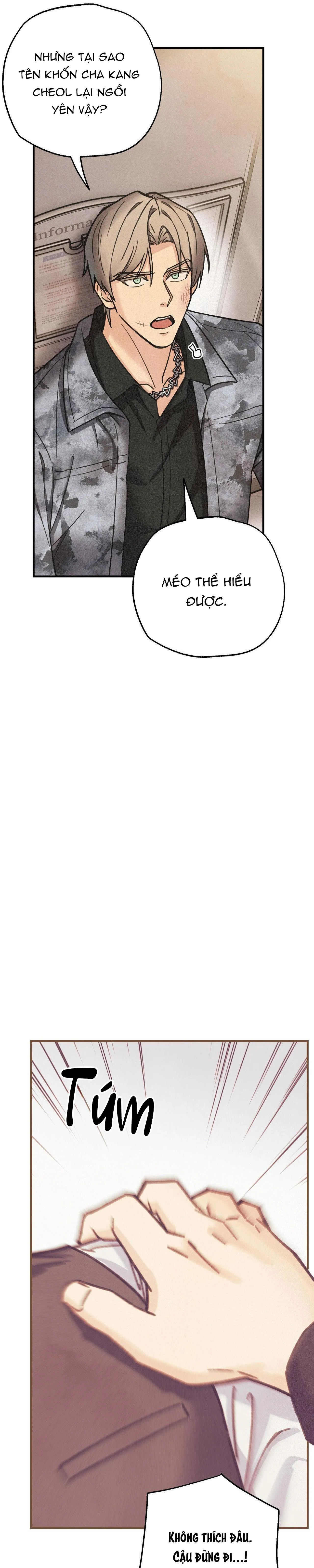 BĂNG ĐẢNG SAMGEORI Chapter 9 Trang 15
