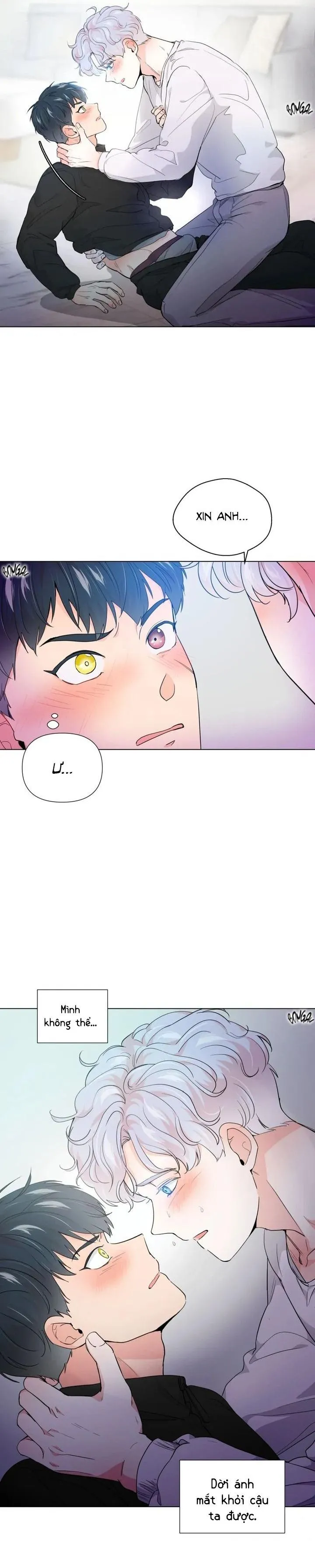 BÁNH GẠO SINH NHẬT CỦA HỔ Chapter 2 Trang 9