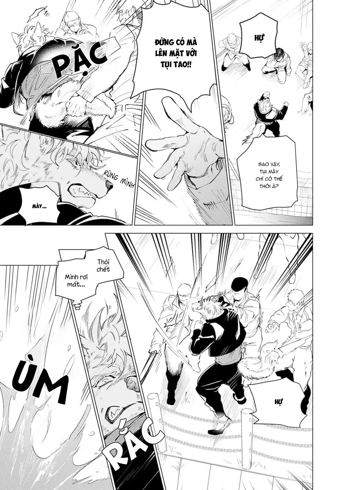 Bánh Quy Nhân Socola Chapter 1 Trang 13