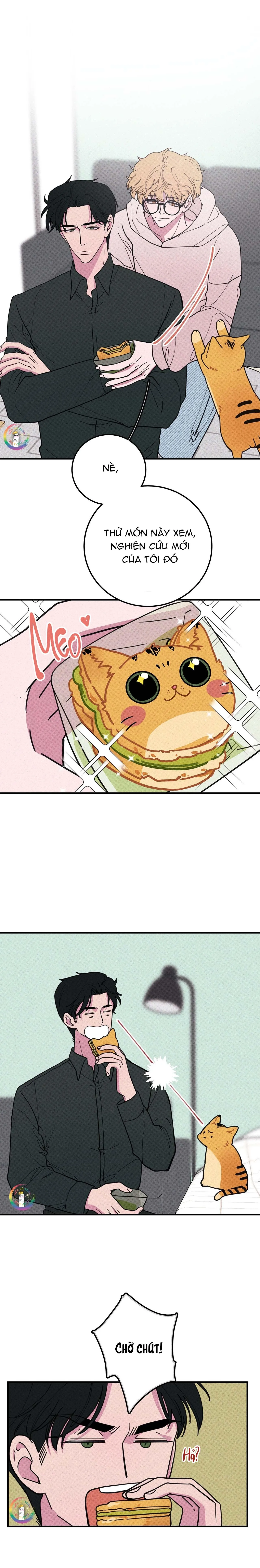 BÁNH QUY TẨM ĐÁ (END) Chapter 17 Trang 4