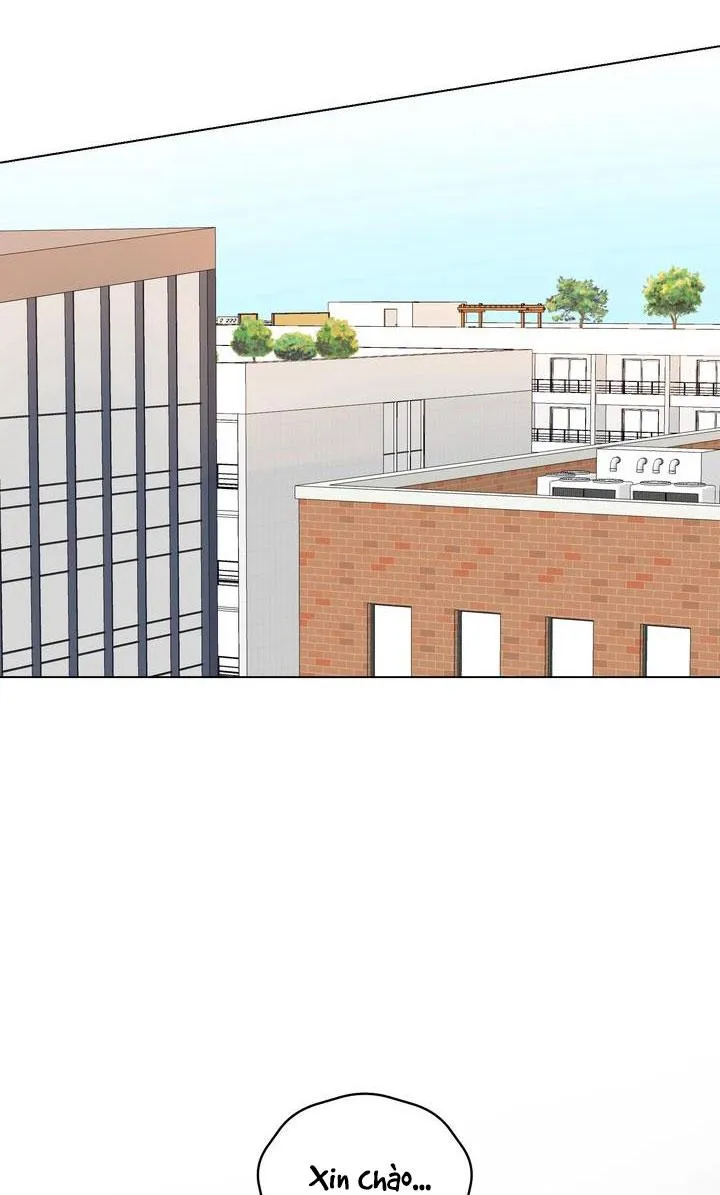 BÁNH QUY TÌNH YÊU TAN CHẢY Chapter 1 Trang 47