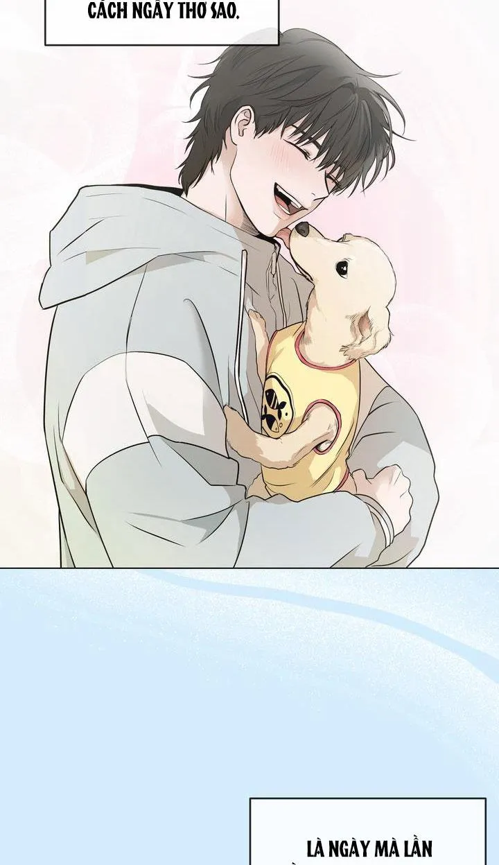 BÁNH QUY TÌNH YÊU TAN CHẢY Chapter 11 Trang 5
