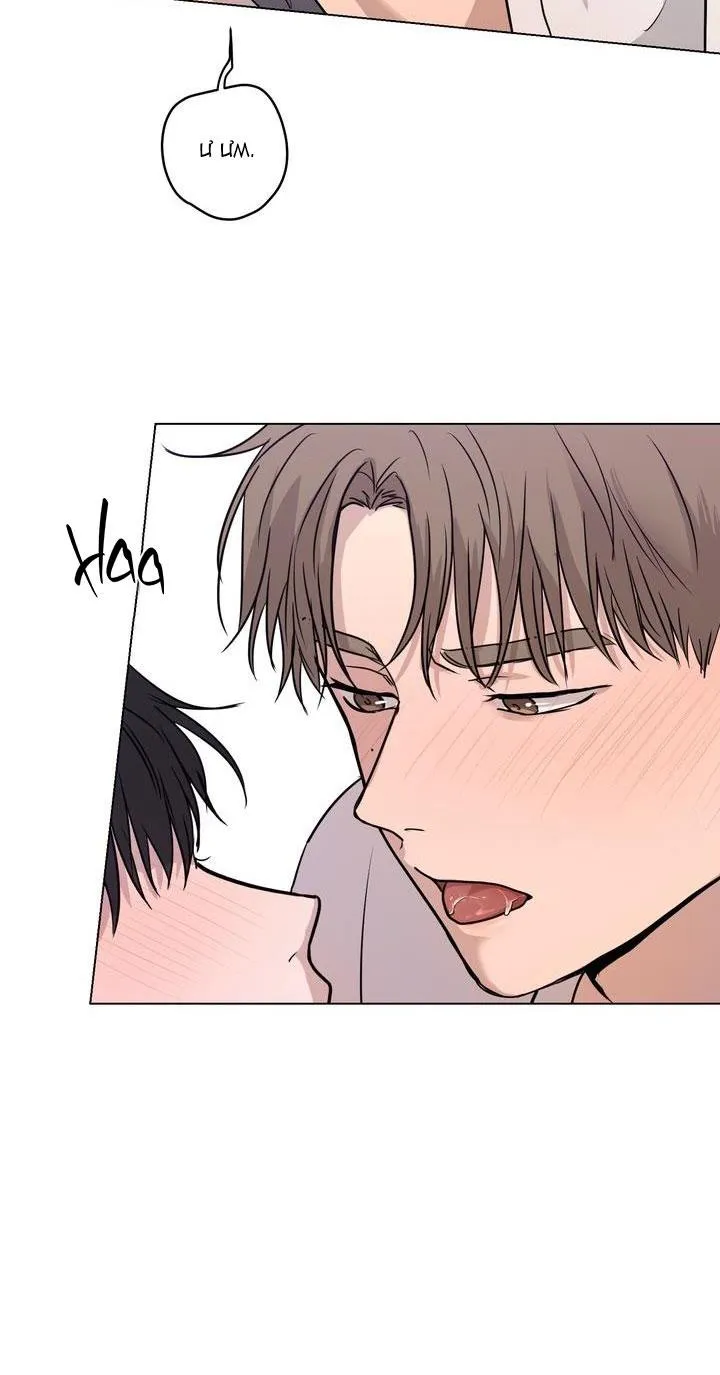 BÁNH QUY TÌNH YÊU TAN CHẢY Chapter 18 Trang 16