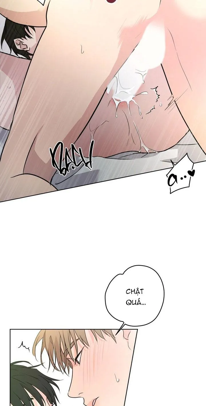 BÁNH QUY TÌNH YÊU TAN CHẢY Chapter 26 Trang 31