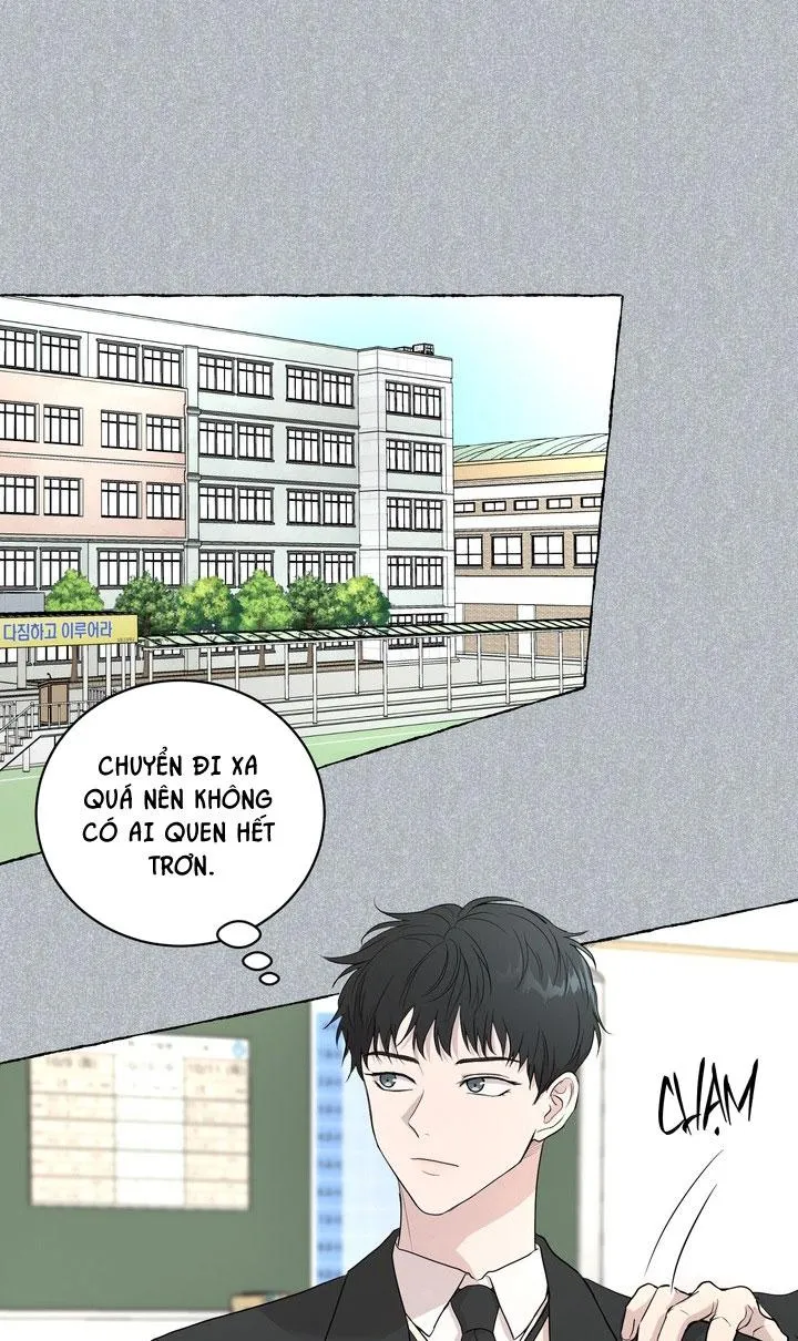 BÁNH QUY TÌNH YÊU TAN CHẢY Chapter 28 Trang 42