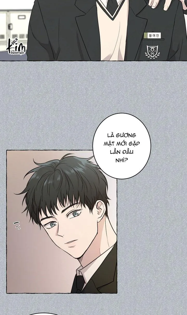 BÁNH QUY TÌNH YÊU TAN CHẢY Chapter 28 Trang 43