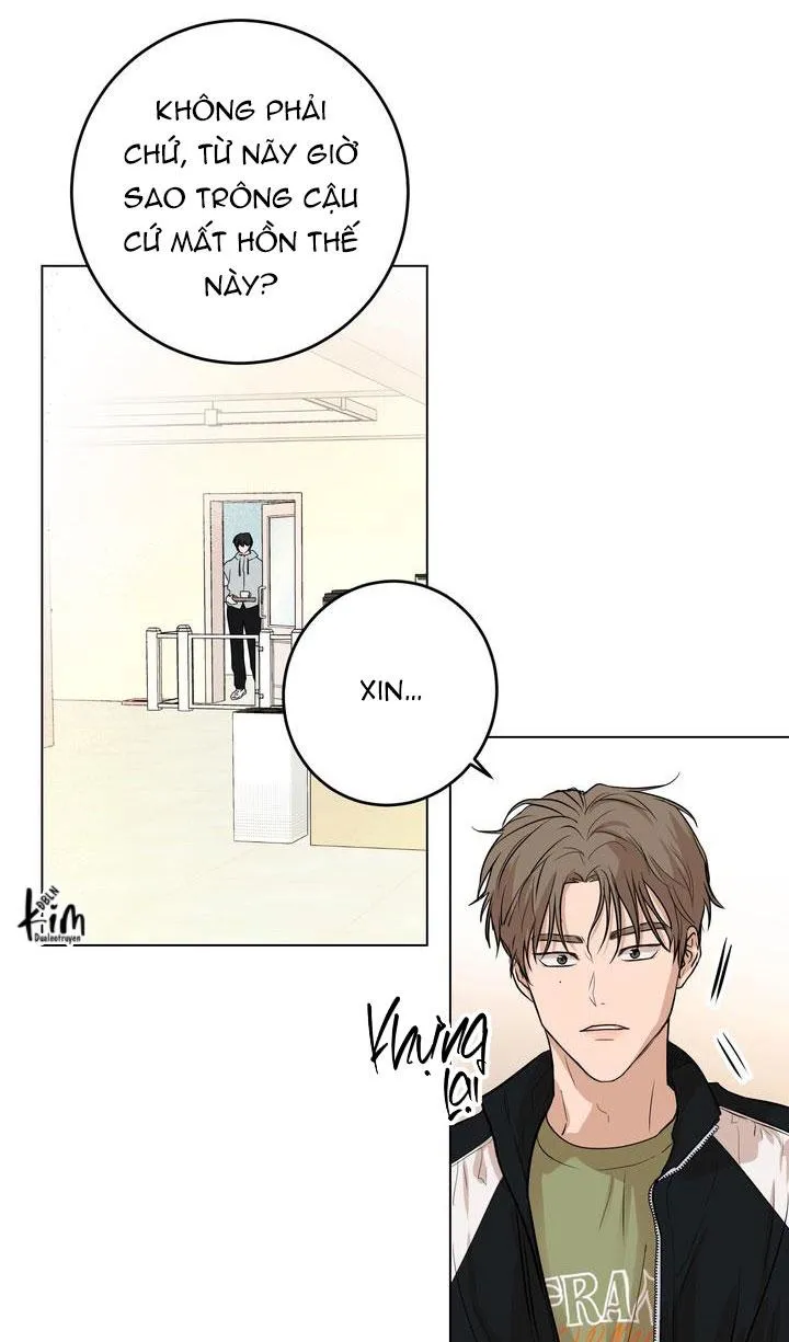 BÁNH QUY TÌNH YÊU TAN CHẢY Chapter 3 Trang 4