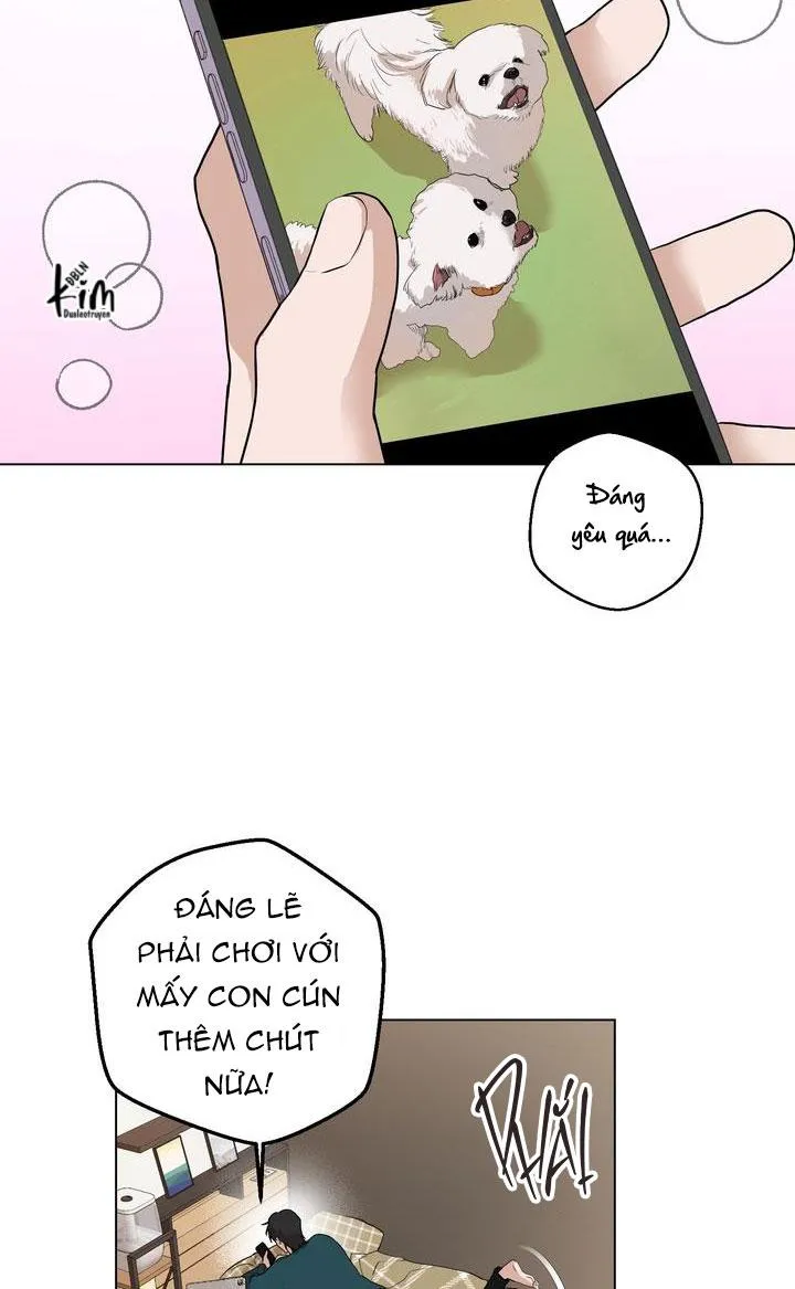 BÁNH QUY TÌNH YÊU TAN CHẢY Chapter 3 Trang 20