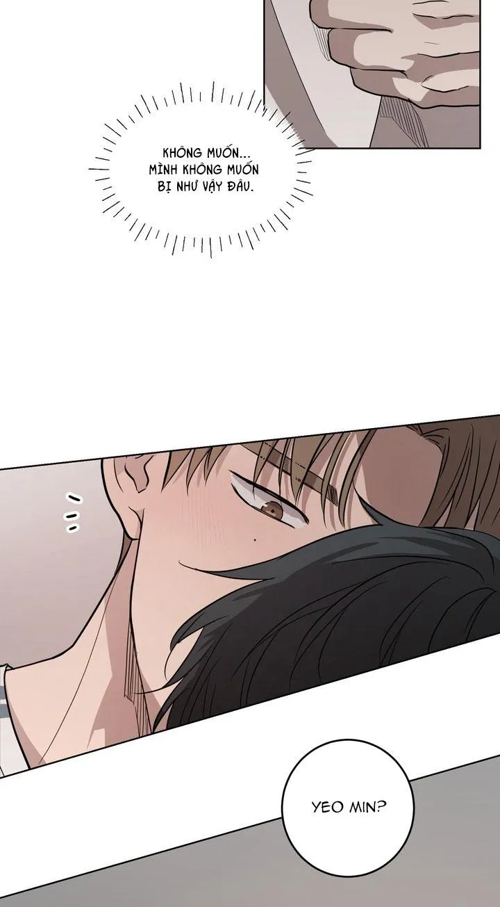 BÁNH QUY TÌNH YÊU TAN CHẢY Chapter 31 Trang 10