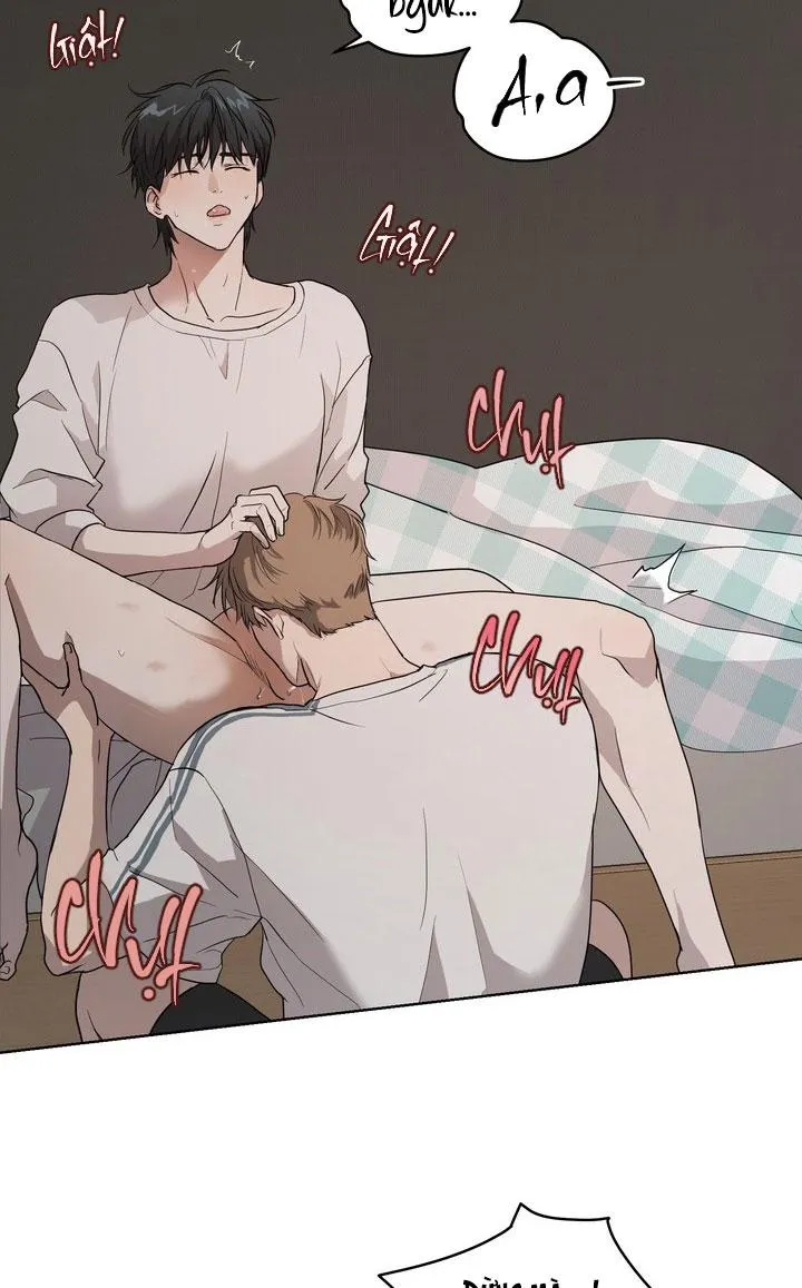 BÁNH QUY TÌNH YÊU TAN CHẢY Chapter 31 Trang 20