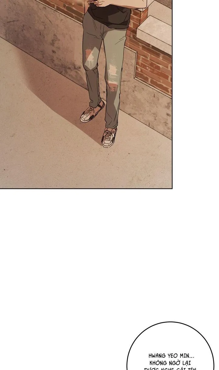 BÁNH QUY TÌNH YÊU TAN CHẢY Chapter 31 Trang 51