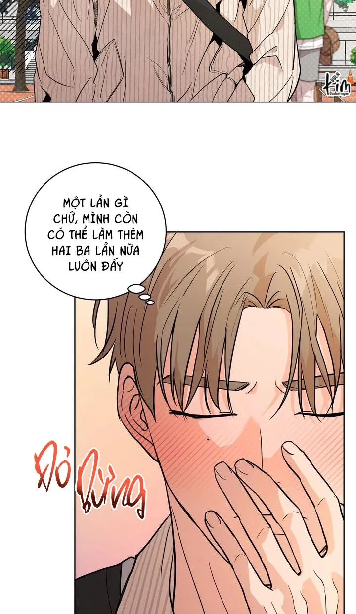 BÁNH QUY TÌNH YÊU TAN CHẢY Chapter 33 Trang 20