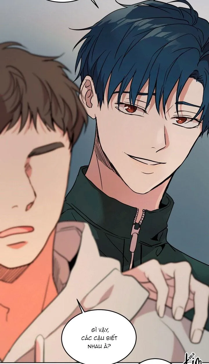 BÁNH QUY TÌNH YÊU TAN CHẢY Chapter 35 Trang 48