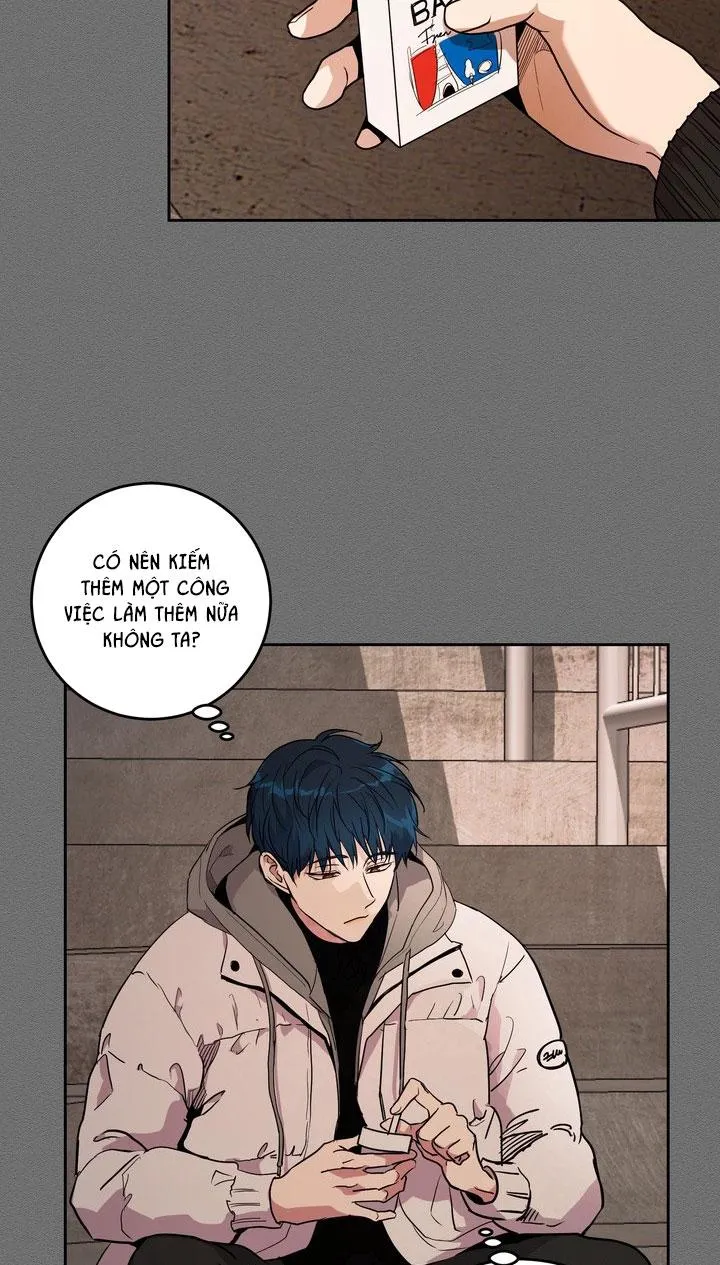 BÁNH QUY TÌNH YÊU TAN CHẢY Chapter 37 Trang 4