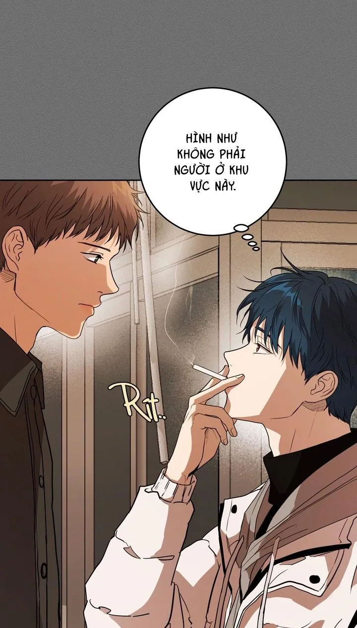 BÁNH QUY TÌNH YÊU TAN CHẢY Chapter 37 Trang 10