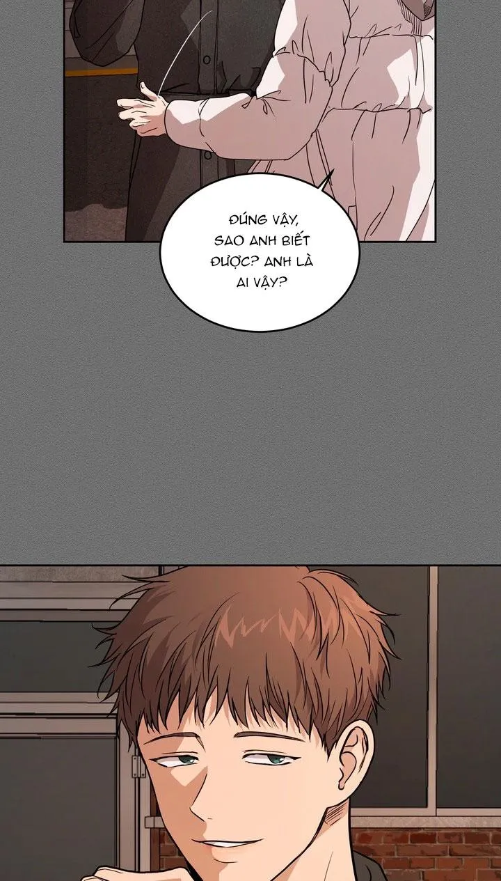 BÁNH QUY TÌNH YÊU TAN CHẢY Chapter 37 Trang 12