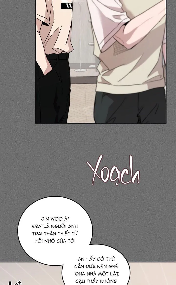 BÁNH QUY TÌNH YÊU TAN CHẢY Chapter 37 Trang 40