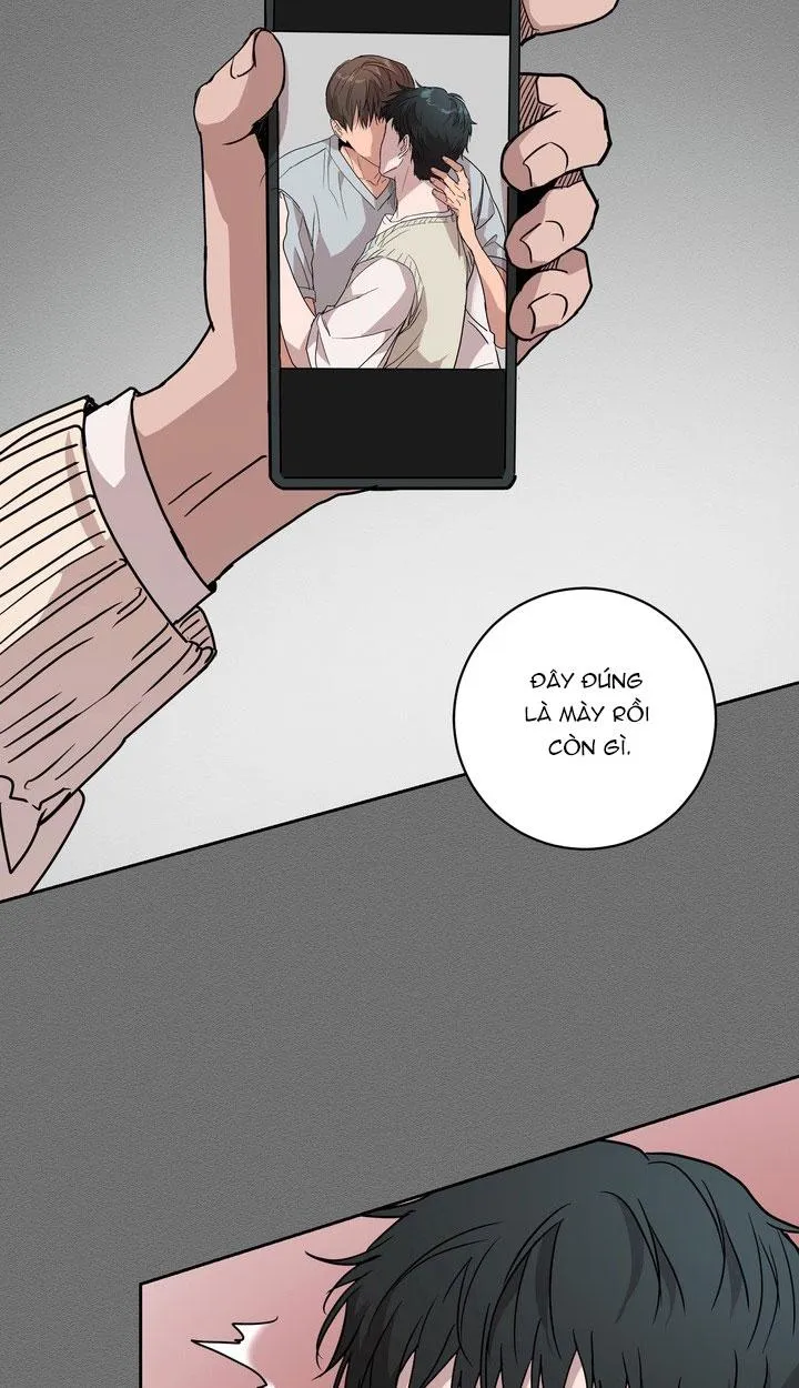 BÁNH QUY TÌNH YÊU TAN CHẢY Chapter 37 Trang 61