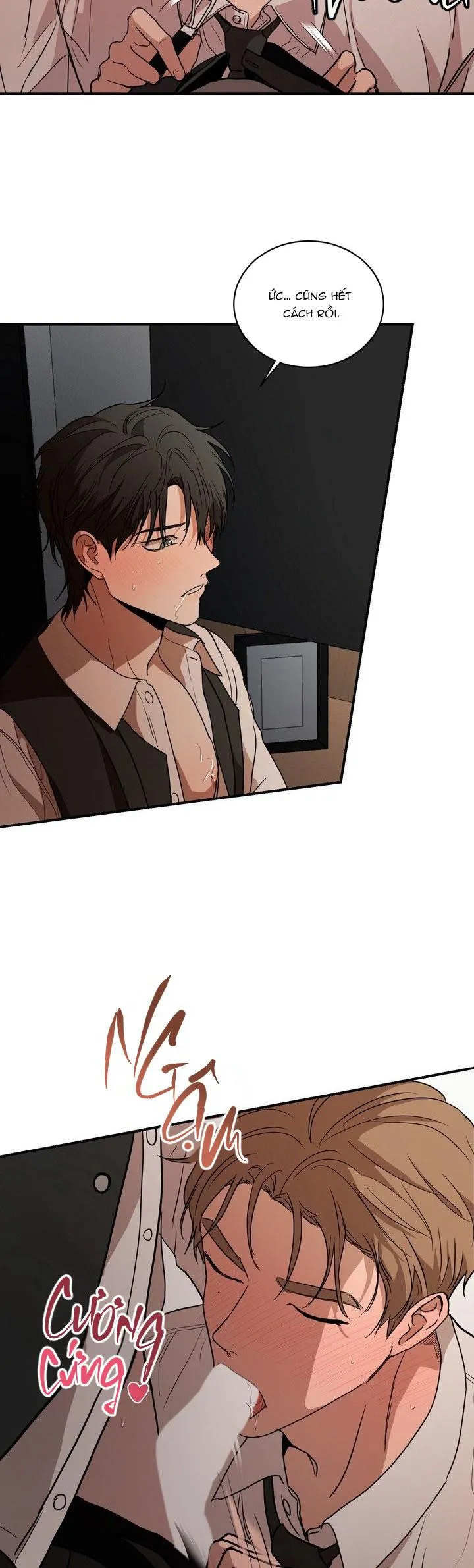 BÁNH QUY TÌNH YÊU TAN CHẢY Chapter 38 Trang 20