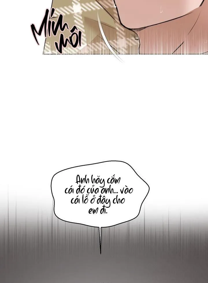 BÁNH QUY TÌNH YÊU TAN CHẢY Chapter 4 Trang 41