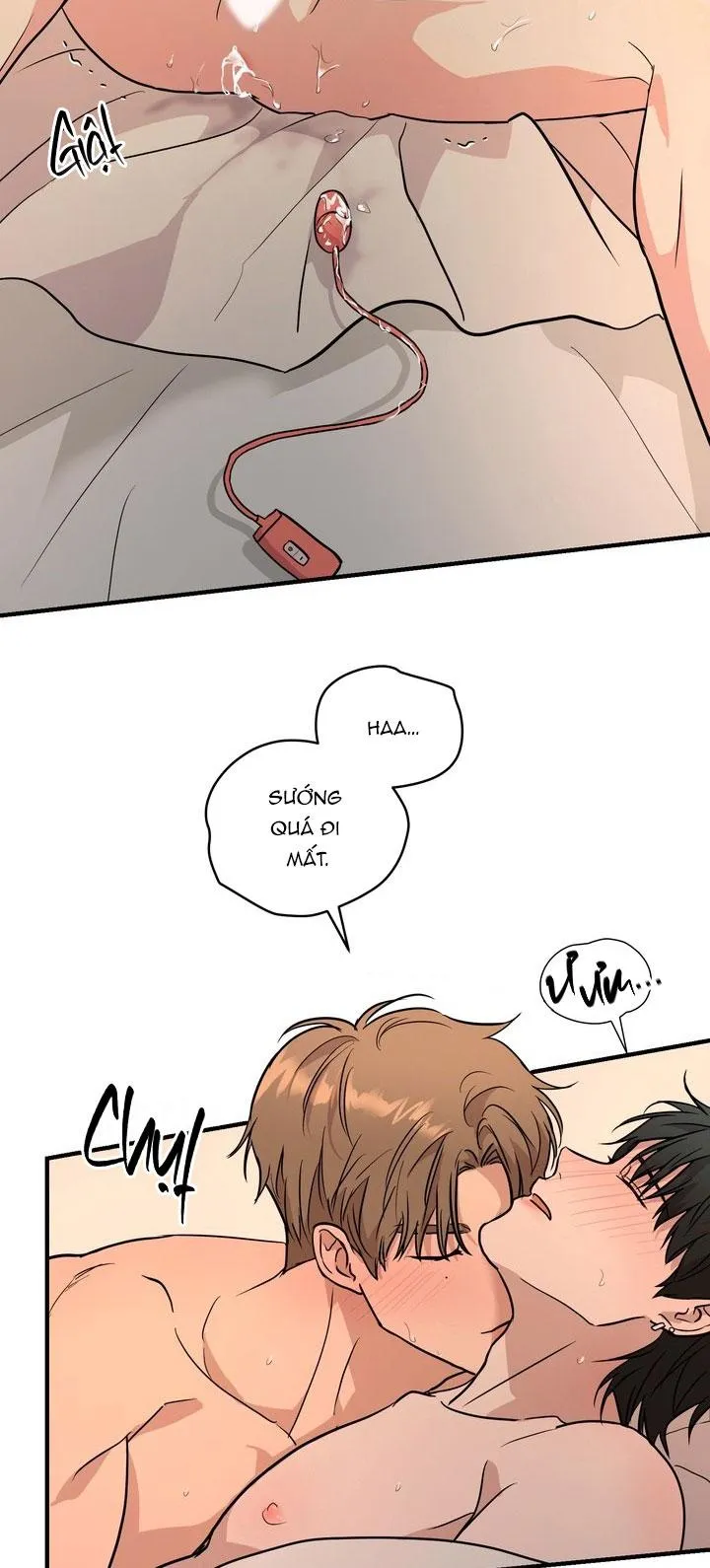 BÁNH QUY TÌNH YÊU TAN CHẢY Chapter 41 Trang 44