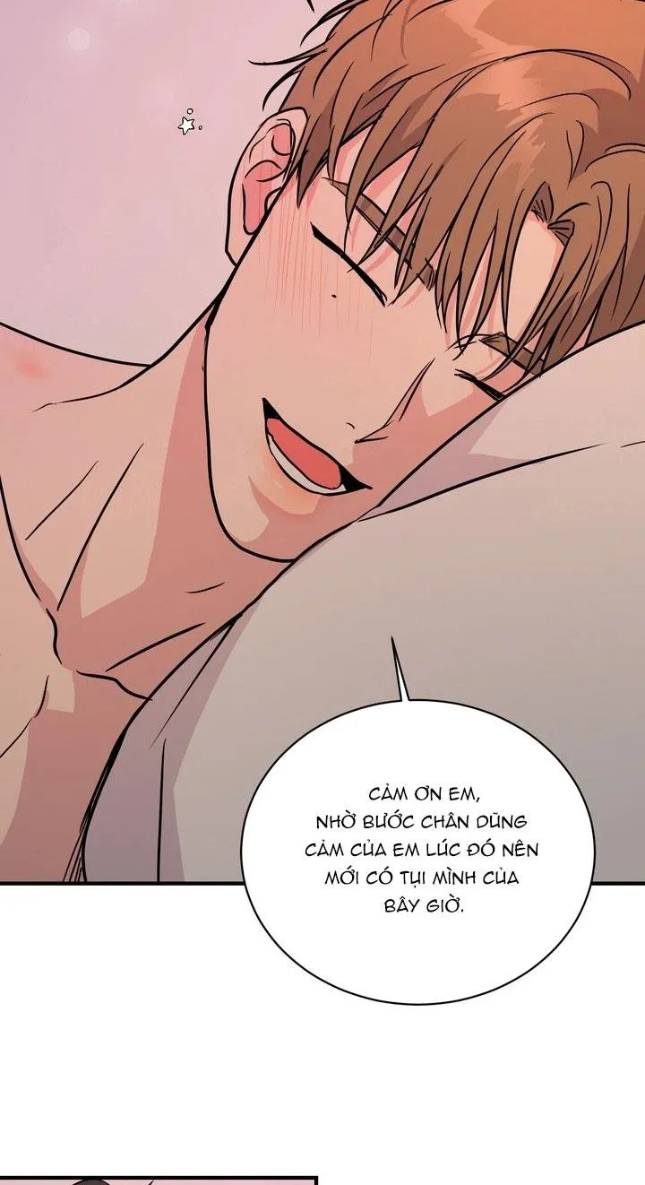 BÁNH QUY TÌNH YÊU TAN CHẢY Chapter 41 Trang 51