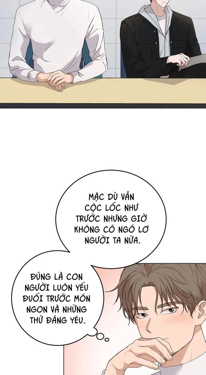 BÁNH QUY TÌNH YÊU TAN CHẢY Chapter 6 Trang 41