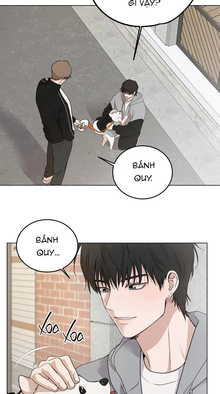 BÁNH QUY TÌNH YÊU TAN CHẢY Chapter 7 Trang 19