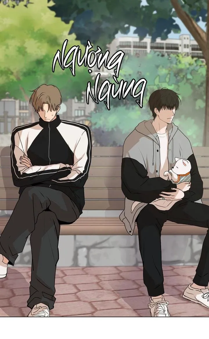 BÁNH QUY TÌNH YÊU TAN CHẢY Chapter 7 Trang 32