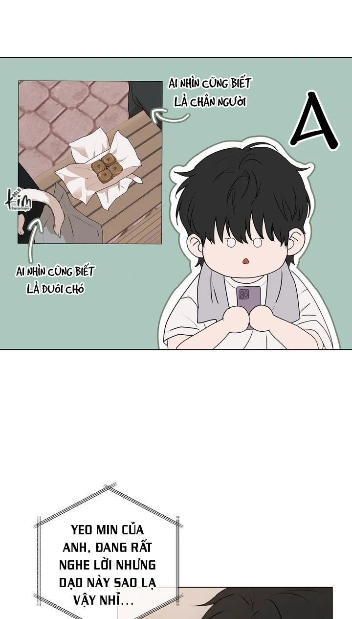 BÁNH QUY TÌNH YÊU TAN CHẢY Chapter 8 Trang 13