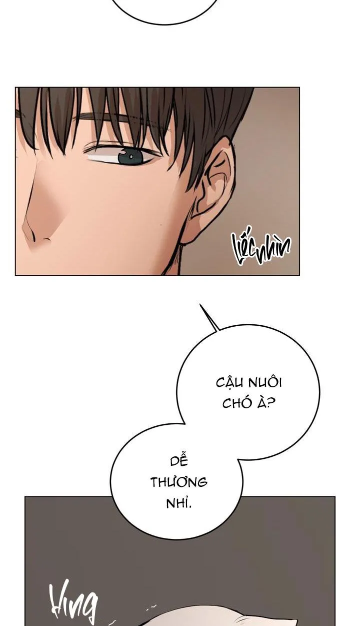 BÁNH QUY TÌNH YÊU TAN CHẢY Chapter 8 Trang 37