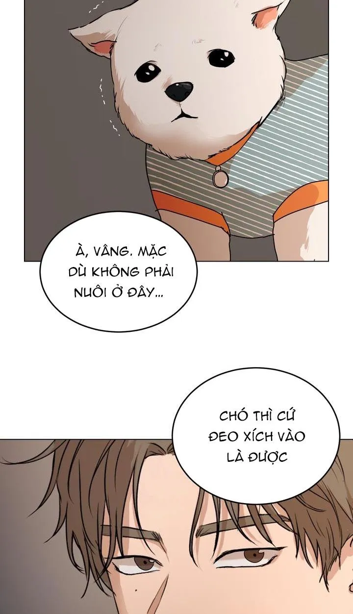 BÁNH QUY TÌNH YÊU TAN CHẢY Chapter 8 Trang 38